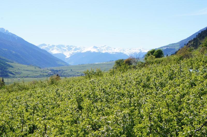 西兰德罗 Alpenresidenz Maria酒店 外观 照片